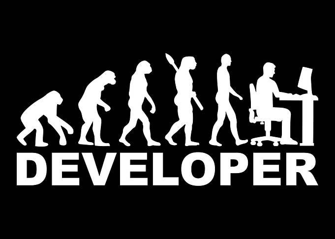 Developer