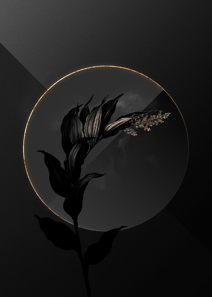 Black and Gold Botanical