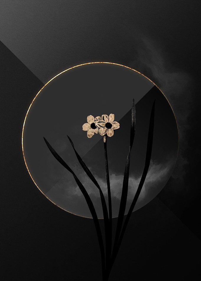 Dark Black and Gold Flower