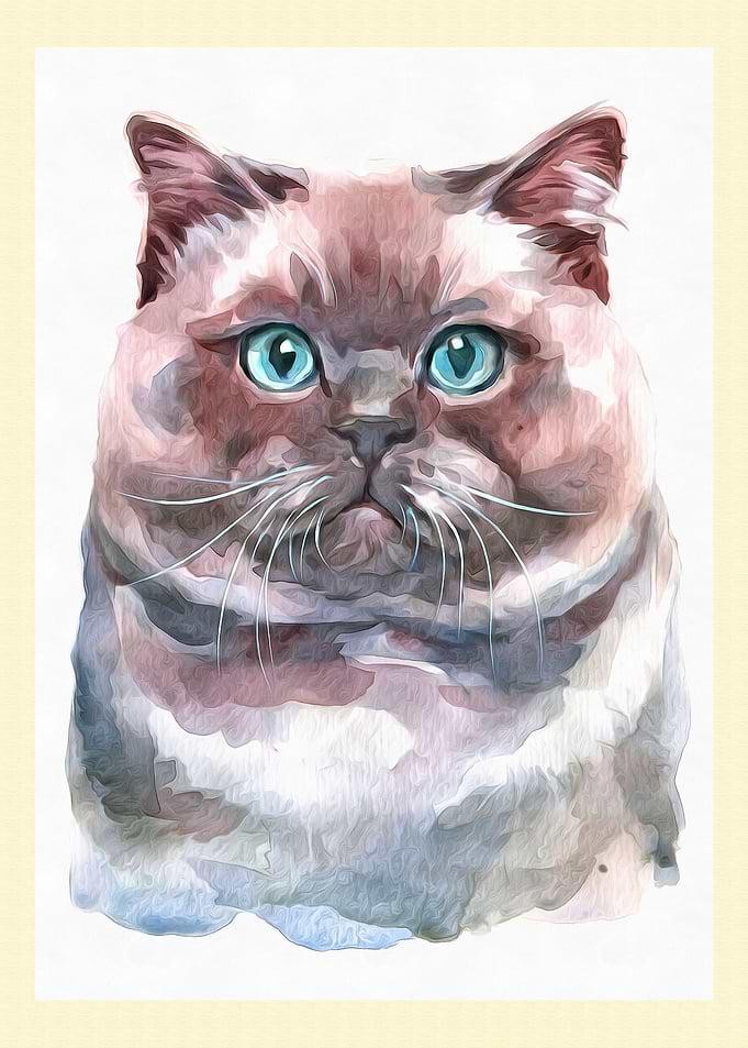 Pop Art Cat Illustration