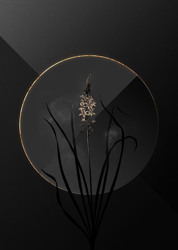 Dark Black and Gold Floral