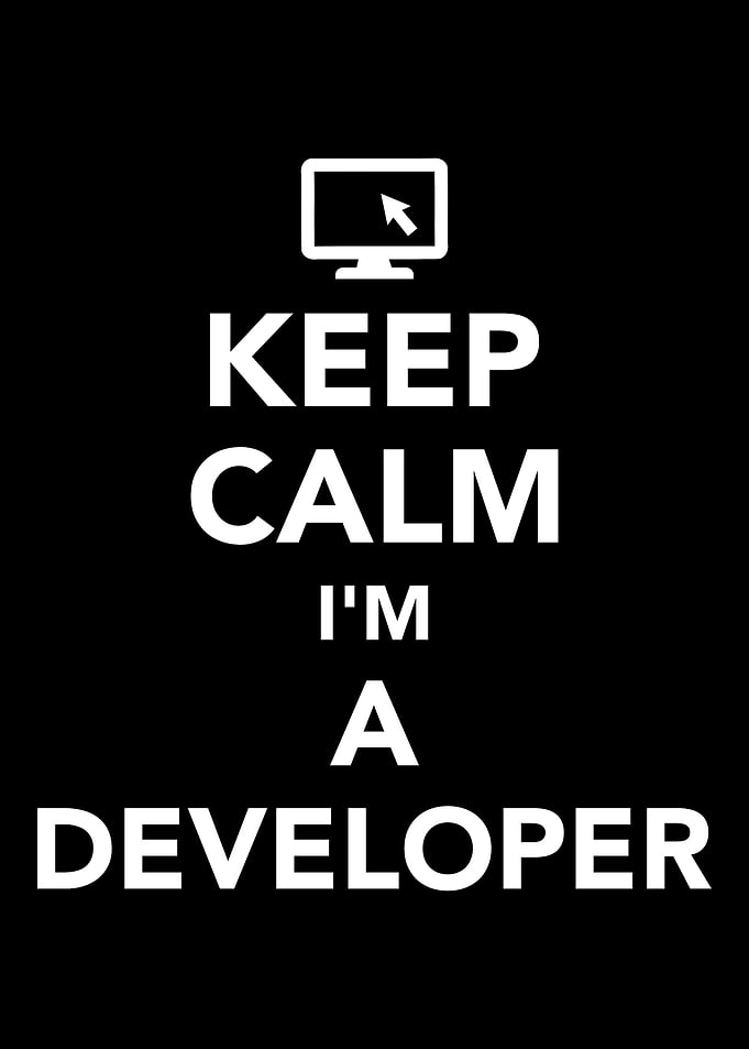 Developer