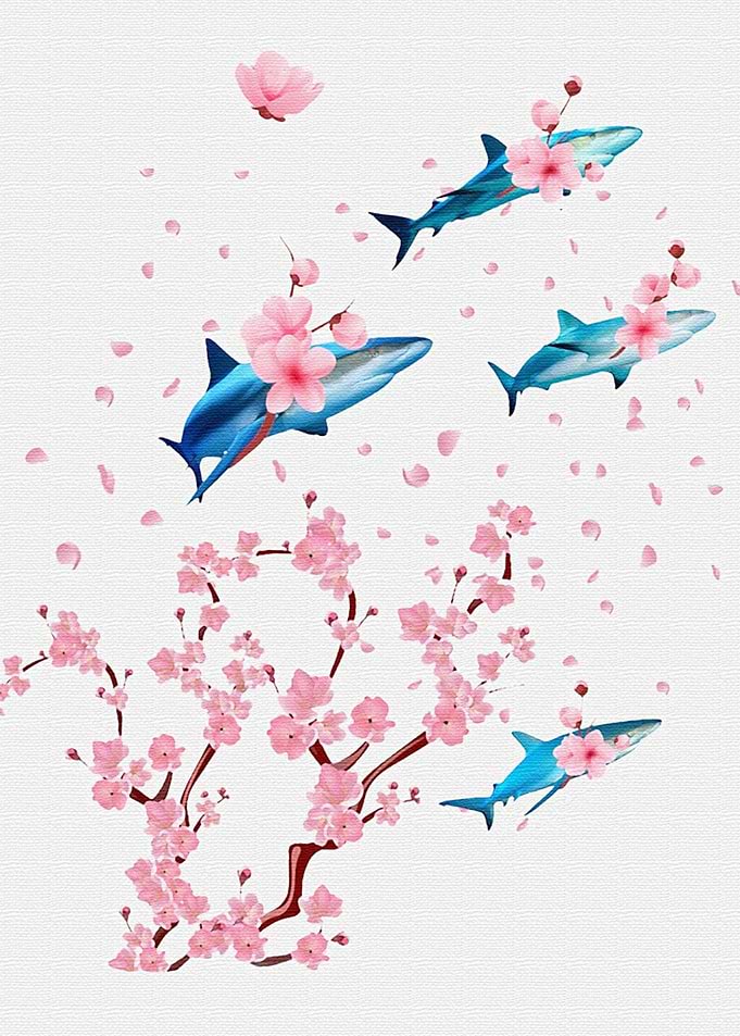Shark