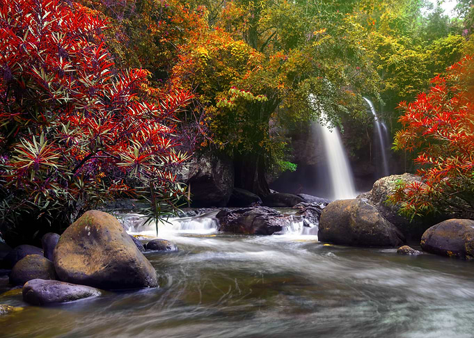 Nature