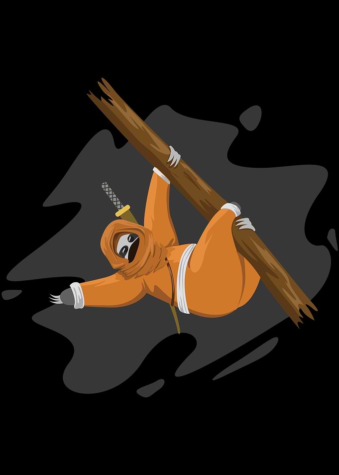 Sloth Ninja