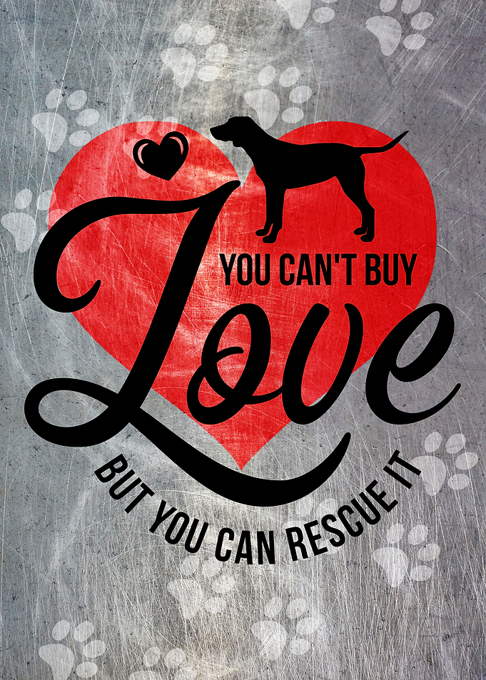 LOVE ADOPT METAL