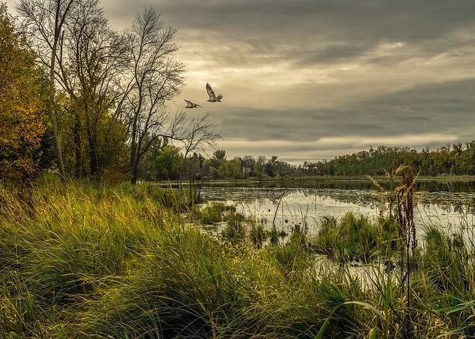 Nature