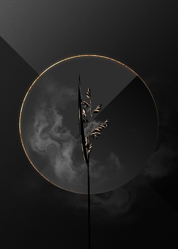 Dark Black and Gold Flower