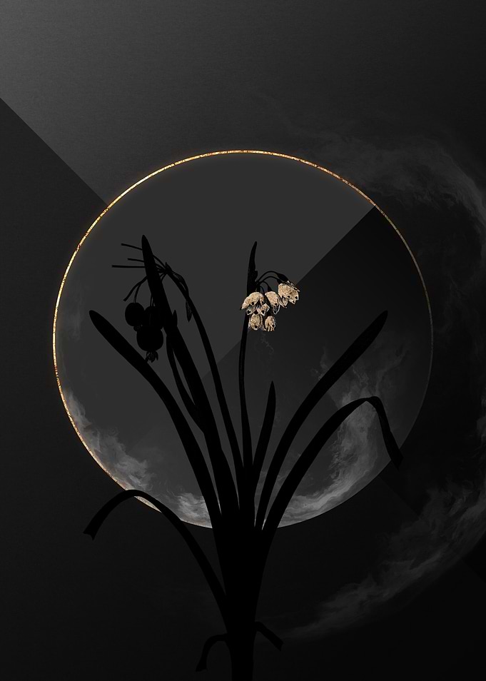 Black and Gold Botanical