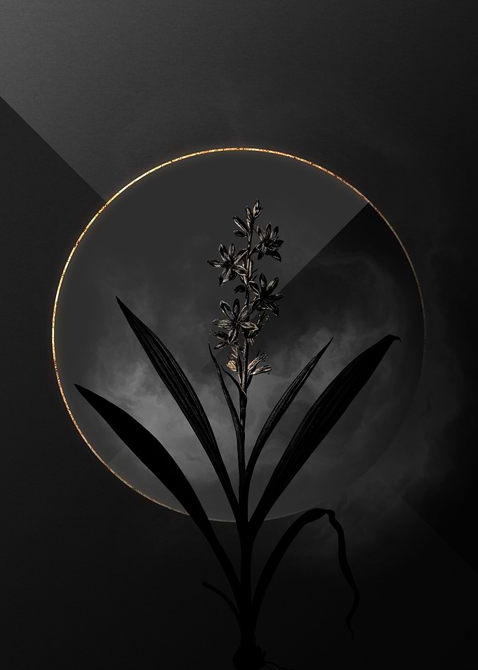 Dark Black and Gold Floral