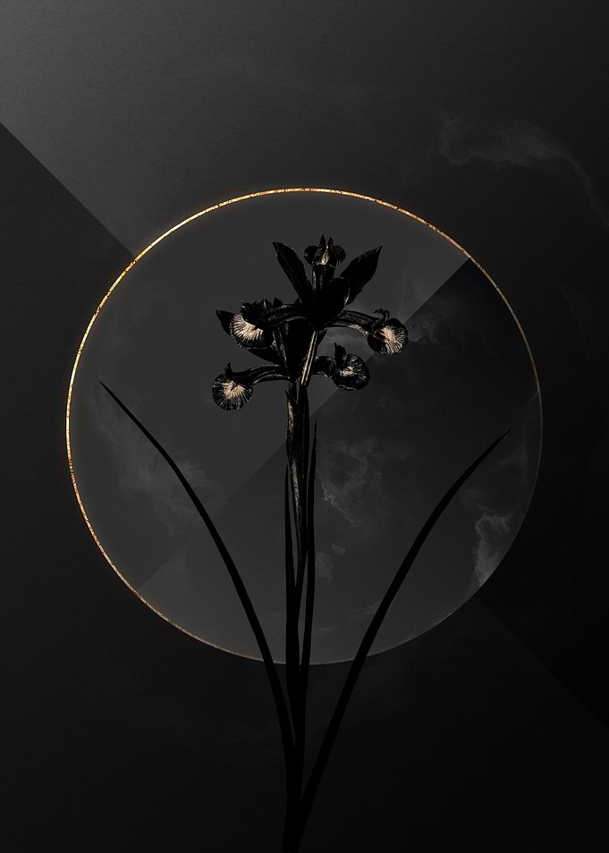 Black and Gold Botanical