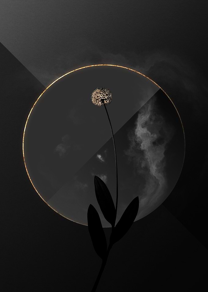 Dark Black and Gold Floral