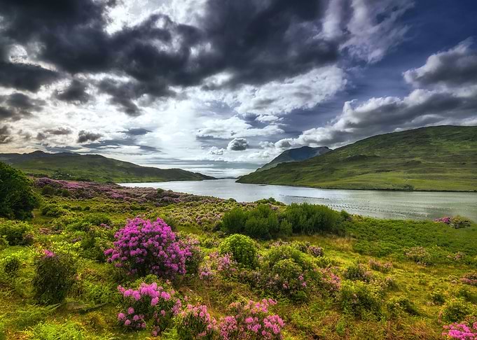 Nature