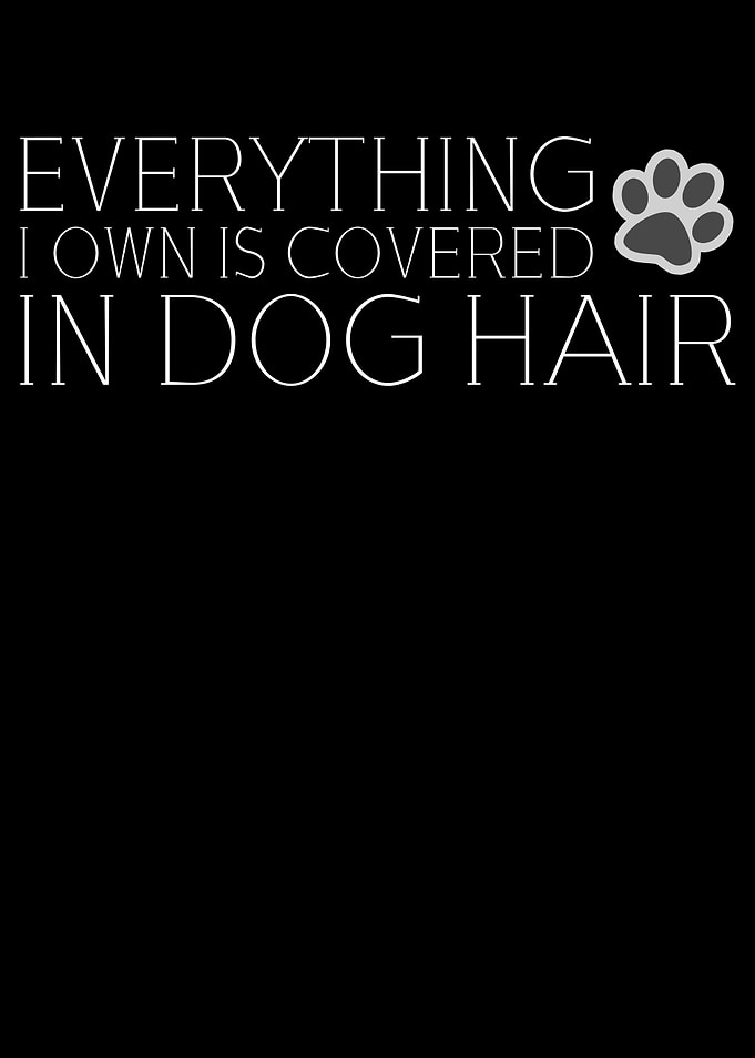 Covered In Dog Hair
