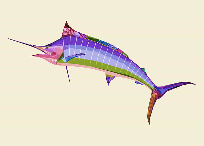 colorful marlin fish