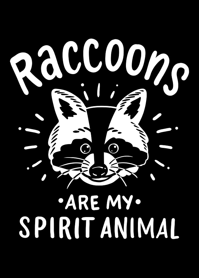 Raccoon