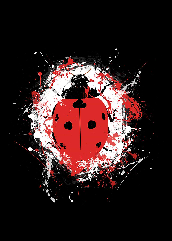 Ladybug