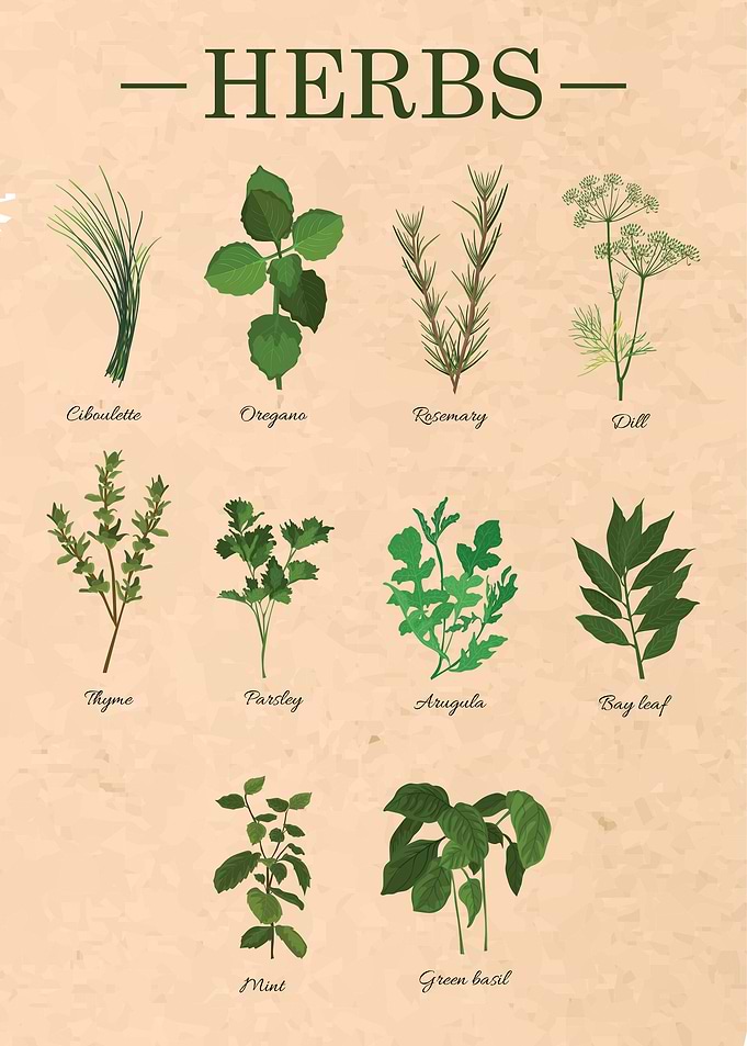 Herbs Kitchen