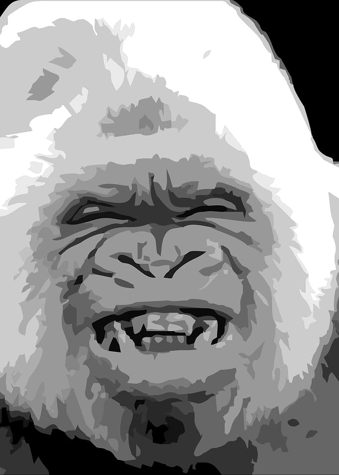 gorilla v29