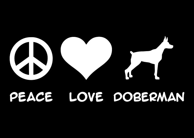 Doberman