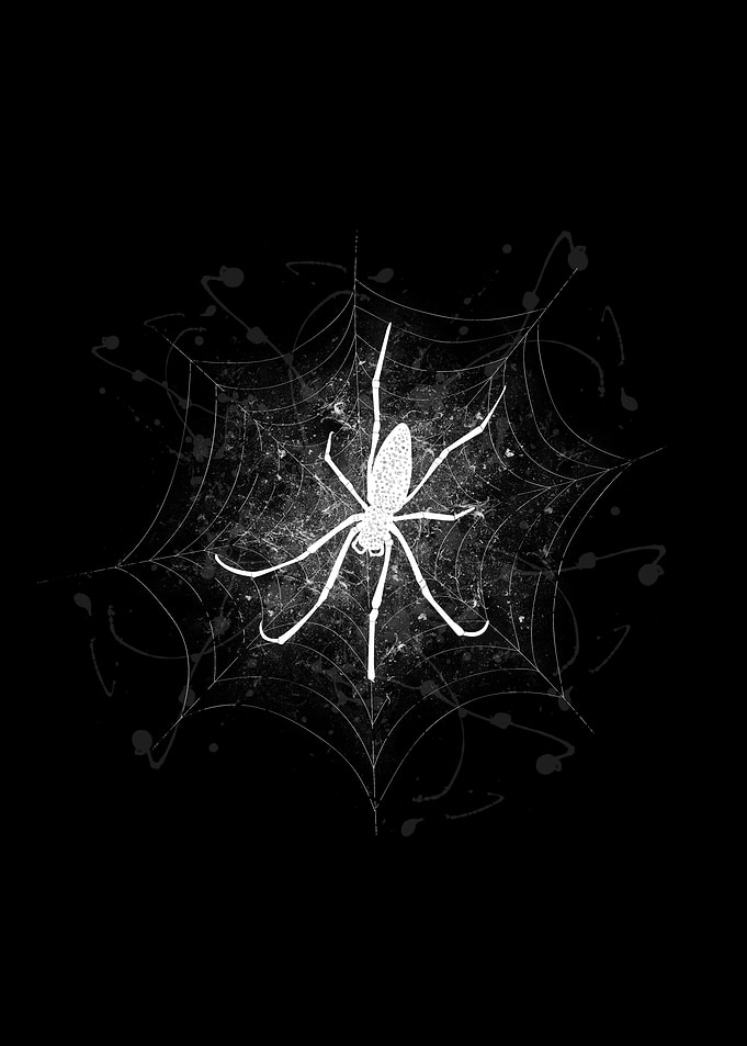 Spider on the web
