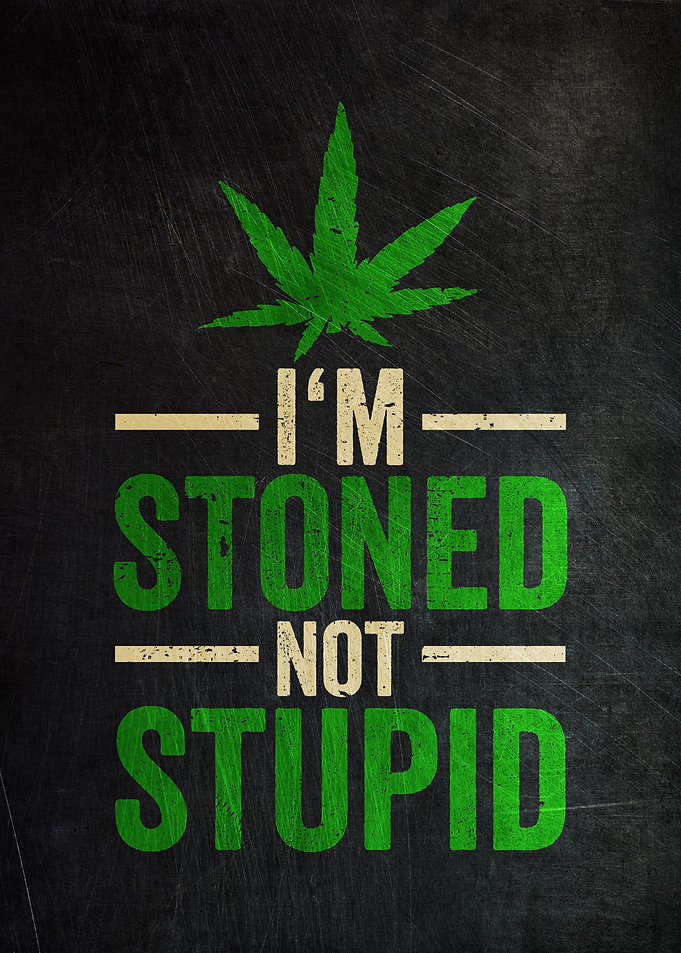 I Am Stoned Not Stupid