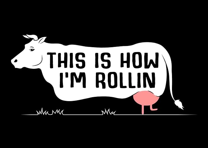 This Is How IM Rollin