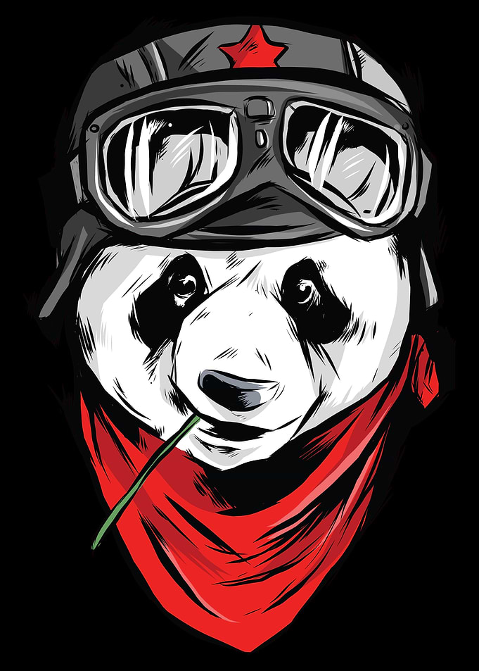 cool panda