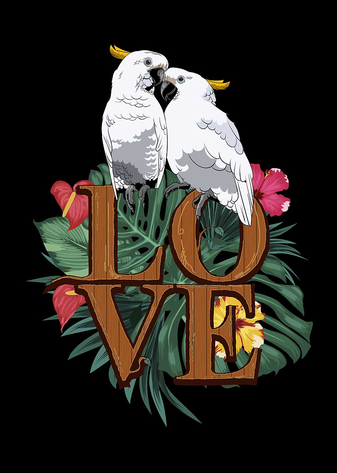 Cockatoo Bird