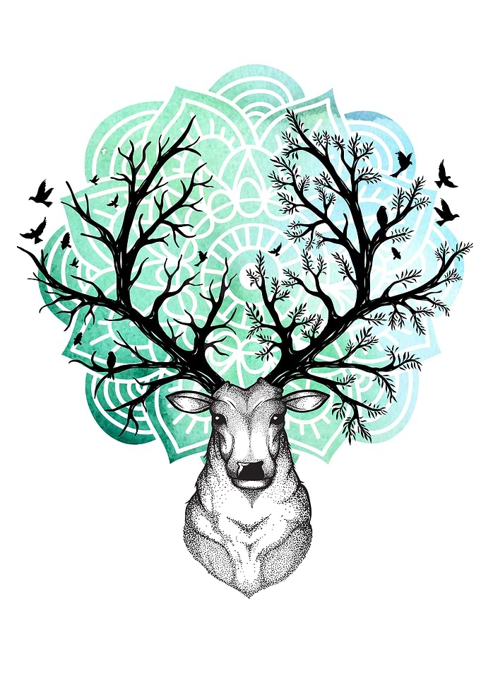 Abstract Deer 01