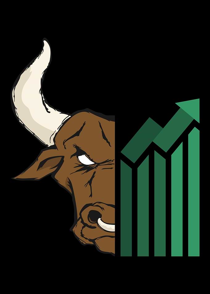 Bull Bear Market Capitalis