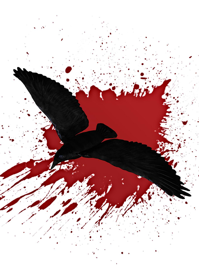 bird4