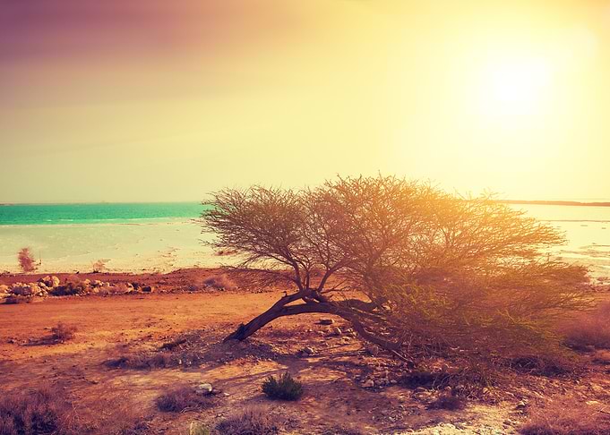 Background Beach Beauty Bo