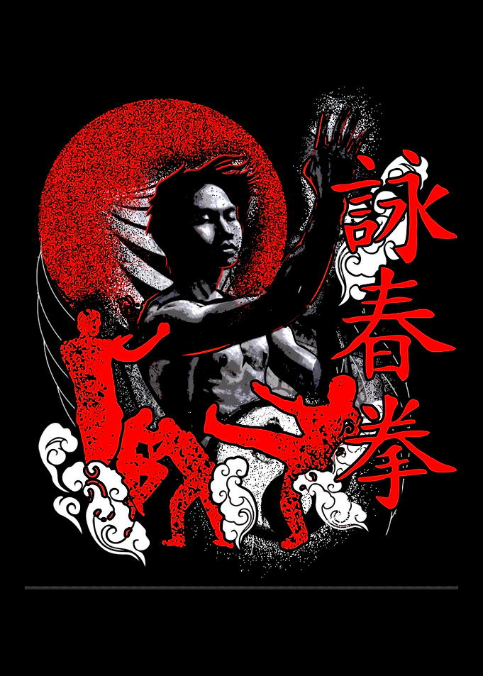 Ving Tsun Kung Fu