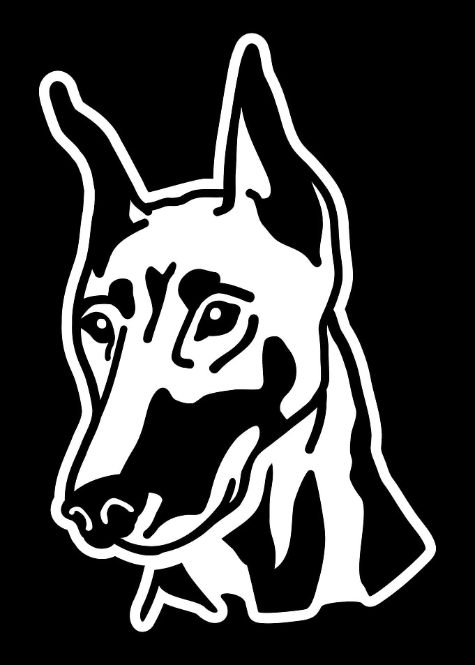 Doberman