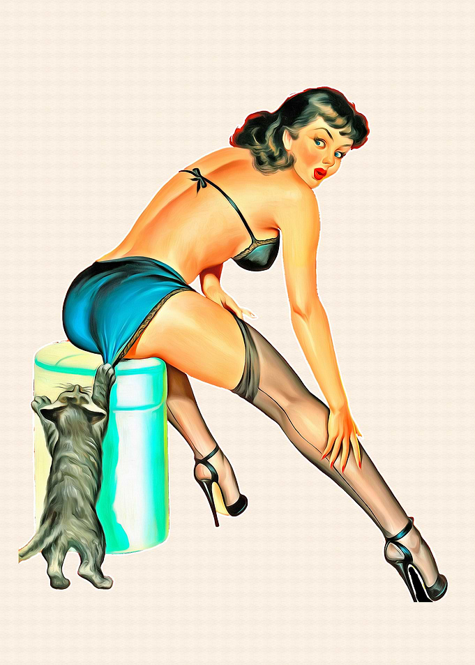 Pinup Girl Cute Sexy Babe