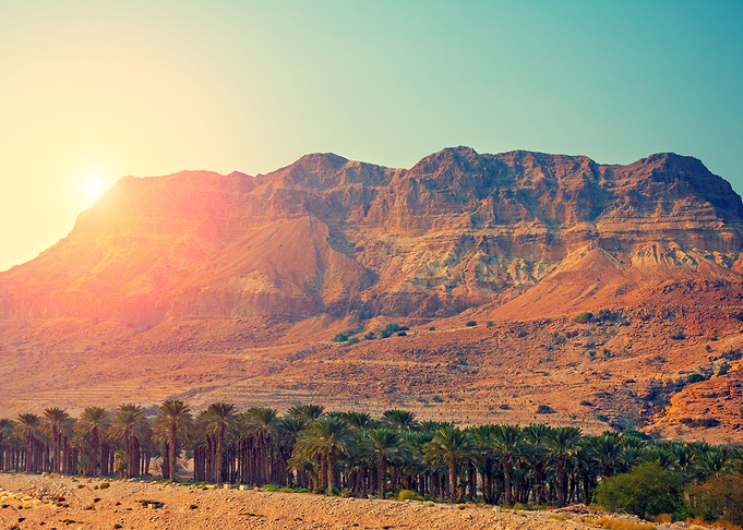 Arid Background Date Dawn
