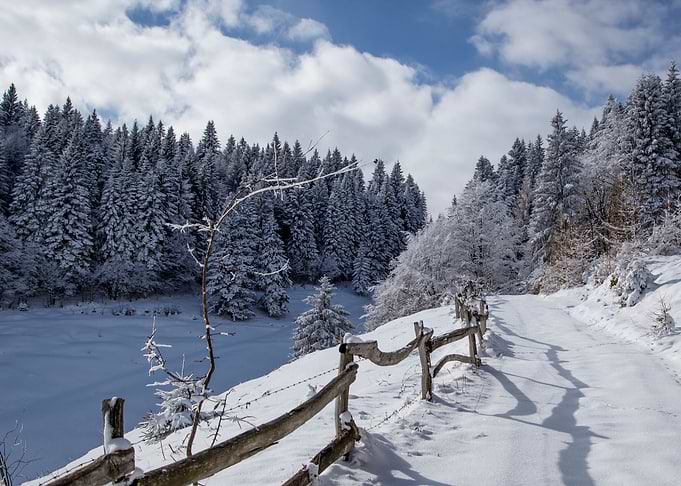 Nature