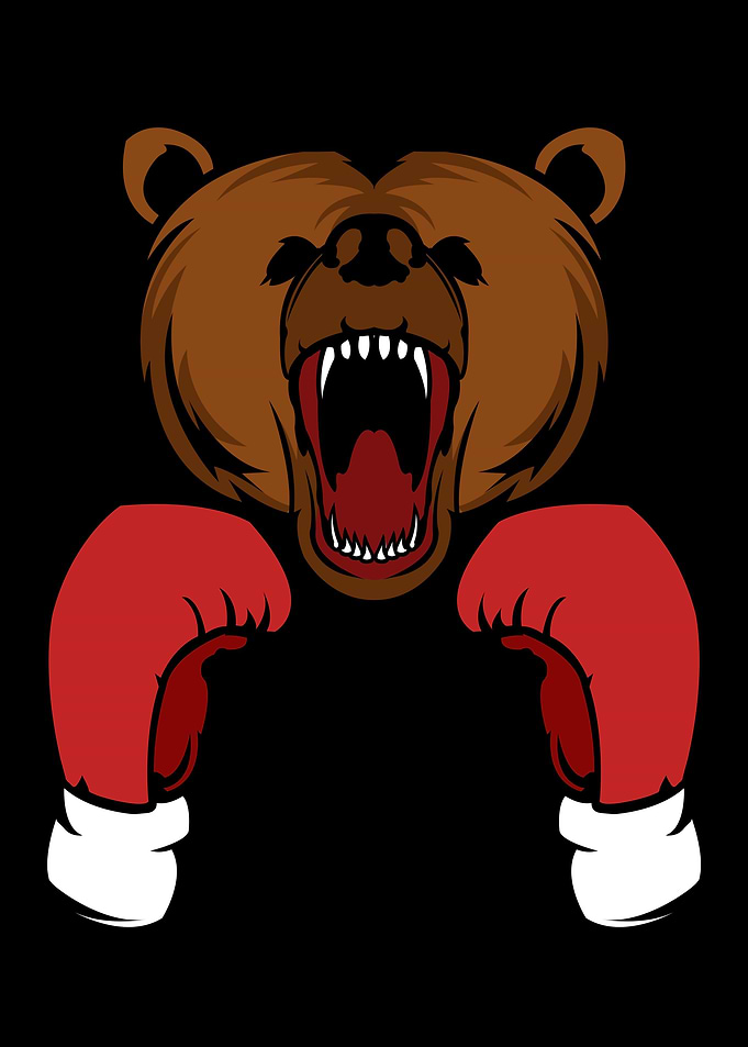 Cool Panda Bear Graphics