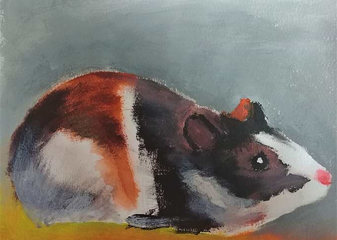Guinea pig