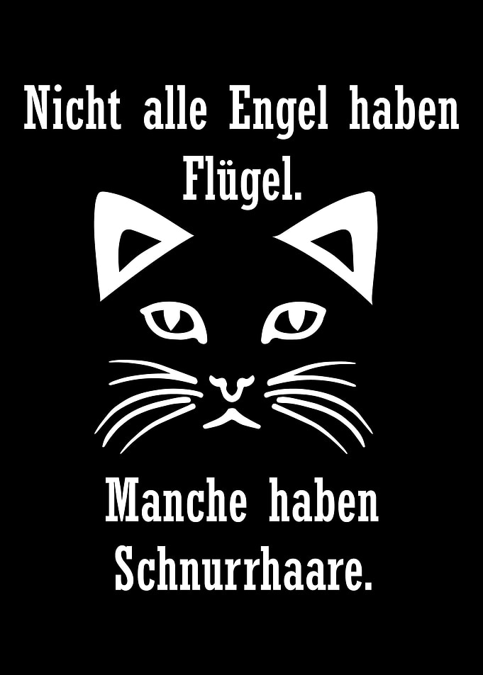 Katzen Engel