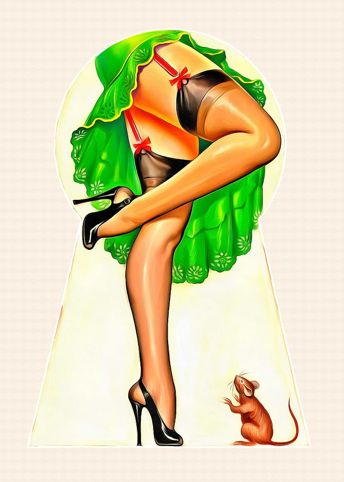 Vintage Pinup Girl Artwork