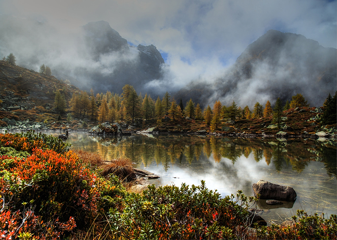 Nature