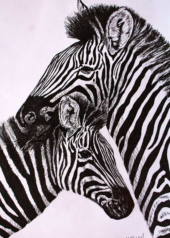 Zebra and her younster