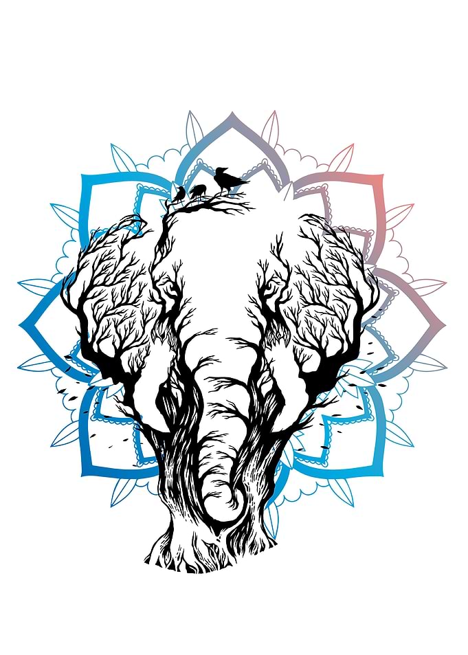 Abstract Elephant