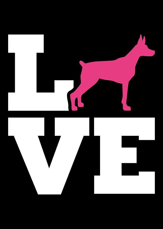 Doberman