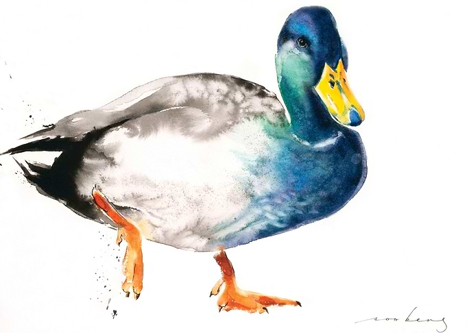 duckie
