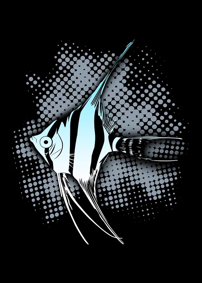 Moorish idol