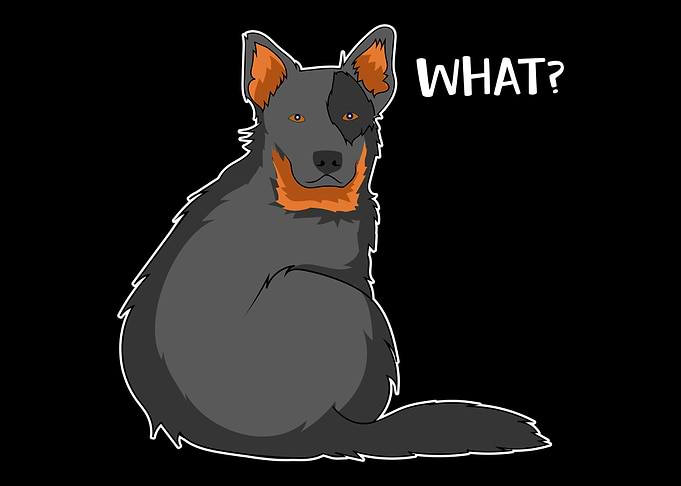 Cute Cattle Dog