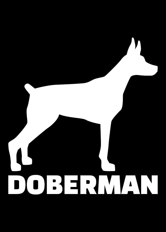 Doberman